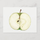 Search for kitchen paintings postcards Fruit
