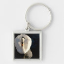 Search for pond reflection key rings Lake