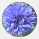 Search for blue buttons stickers Flower