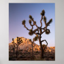Search for backcountry art Desert