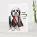 Search for sheepdogs cards Dog lovers