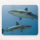 Search for jardine mouse mats Cuba