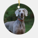 Search for weimaraner christmas tree decorations Hunting