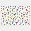 Search for birds wrapping paper Patterns