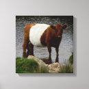 Search for dartmoor posters River