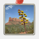 Search for sedona arizona christmas tree decorations Cathedral rock