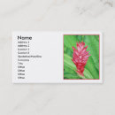 Search for ginger business cards Red
