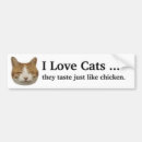 Search for tastes bumper stickers Cat
