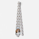 Search for tri ties Dog