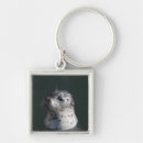 Search for seal square key rings High angle view