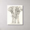 Search for zoo animal drawing posters Animals
