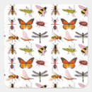 Search for bug lover stickers Bugs