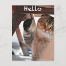 Search for folding postcards Funny