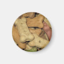Search for biscuits round magnets Cute