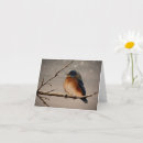 Search for birds new years cards Winter