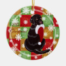 Search for chocolate lab christmas tree decorations Labrador