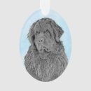 Search for newfoundland dog christmas tree decorations Black