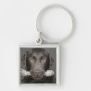Search for chocolate coloured key rings Studio shot