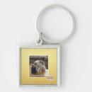 Search for addicted key rings I can has cheezburger