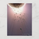 Search for fertile postcards Illustration