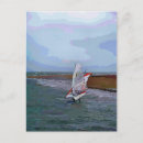 Search for windsurf postcards Surfing
