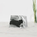 Search for herding dog cards Sheepdog
