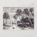 Search for watering hole postcards Trees