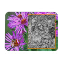 Search for aster magnets Flower