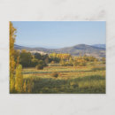 Search for autumn trees postcards Colour