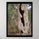 Search for hallowe posters Forest