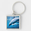 Search for dolphin picture key rings Sea