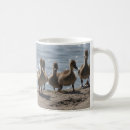 Search for baby ducklings mugs Nature