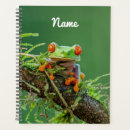 Search for tree frog planners Animal