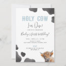 Search for highland cow 1st birthday invitations Holy cow i'm one
