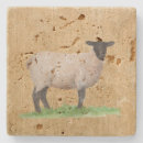 Search for sheep coasters Ewe