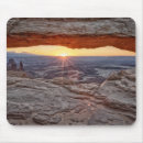 Search for mesa mouse mats Utah