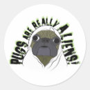 Search for really labels Unique