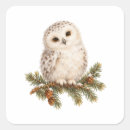 Search for fir tree stickers Watercolor