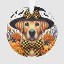 Search for dog costumes christmas tree decorations Autumn
