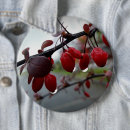 Search for rain badges Sky