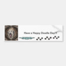 Search for unique bumper stickers Chic