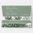 Search for shrub Elegant