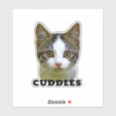 Search for in memory of dog stickers Pet