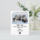 Search for new puppy announcement postcards Cute