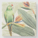 Search for palm leaf coasters Palms