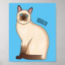Search for siamese cats posters Pet