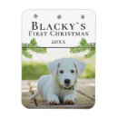 Search for envelope christmas tree decorations Dog