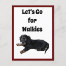 Search for spaniels postcards Cute