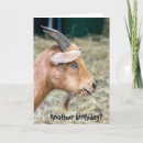 Search for billy cards Goat