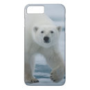 Search for sea bear iphone cases Arctic